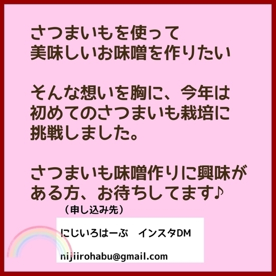 サツマイモで味噌づくりお話し会・・・虹色ハ－ブ