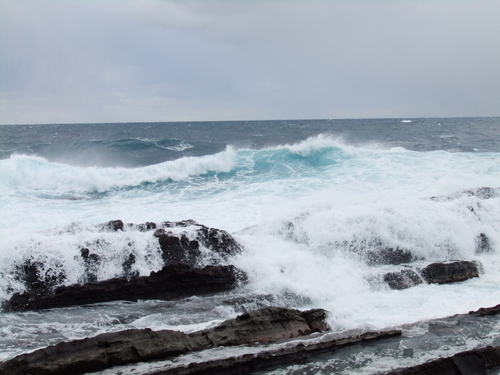 小伊津 海苔島